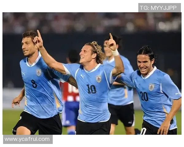 足球明星们效力于哪些球队揭秘及其背后的故事分析